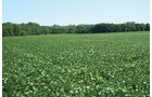 Property photo 1 - 363 Acres Offered in 9 Tracts