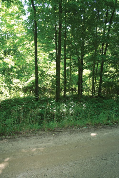 Property photo 8 - 363 Acres Offered in 9 Tracts