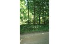 Property photo 8 - 363 Acres Offered in 9 Tracts