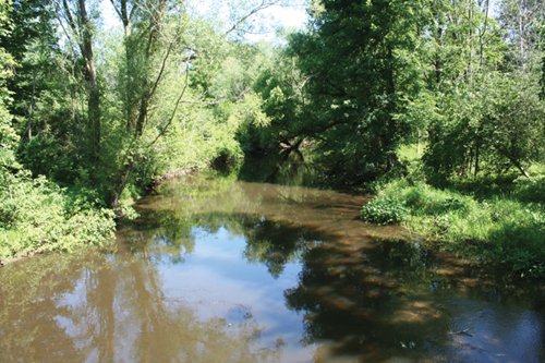 Property photo 2 - 363 Acres Offered in 9 Tracts