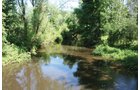 Property photo 2 - 363 Acres Offered in 9 Tracts
