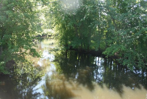 Property photo 27 - 363 Acres Offered in 9 Tracts