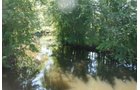 Property photo 27 - 363 Acres Offered in 9 Tracts