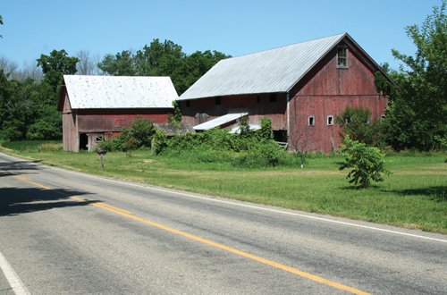 Property photo 31 - 363 Acres Offered in 9 Tracts