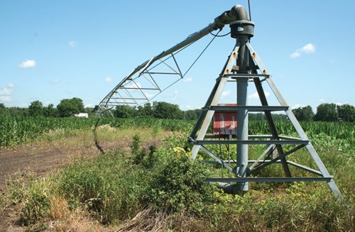 Property photo 13 - 363 Acres Offered in 9 Tracts