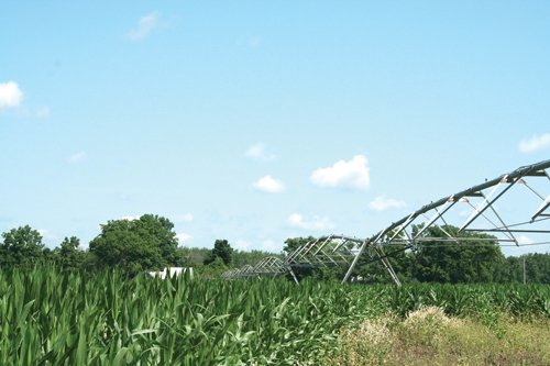 Property photo 3 - 363 Acres Offered in 9 Tracts