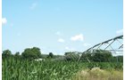 Property photo 3 - 363 Acres Offered in 9 Tracts