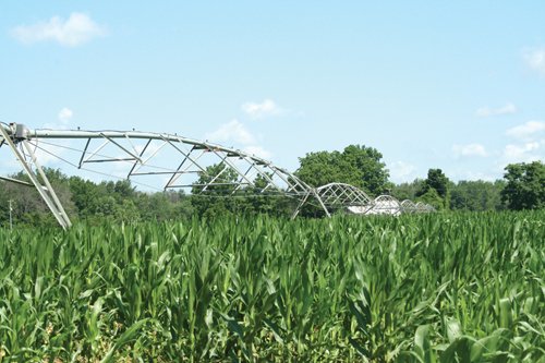 Property photo 10 - 363 Acres Offered in 9 Tracts