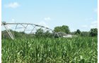 Property photo 10 - 363 Acres Offered in 9 Tracts