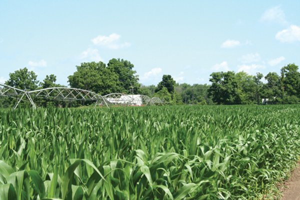 363 Acres Offered in 9 Tracts