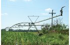 Property photo 29 - 363 Acres Offered in 9 Tracts