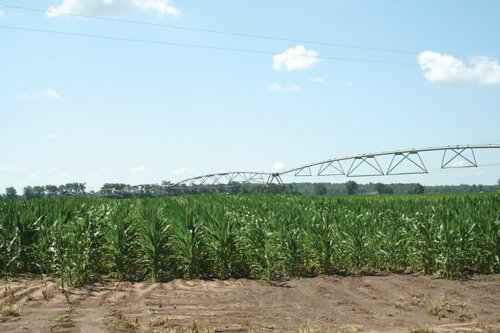 Property photo 16 - 363 Acres Offered in 9 Tracts