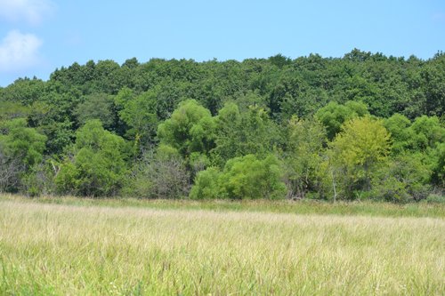 Property photo 5 - 367+/- Acres Offered in 7 Tracts