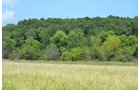 Property photo 5 - 367+/- Acres Offered in 7 Tracts