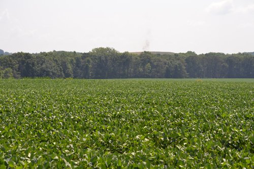Property photo 1 - 367+/- Acres Offered in 7 Tracts