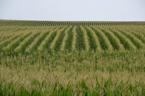 Property photo 5 - 2,054+/- Acres Offered in 28 Tracts