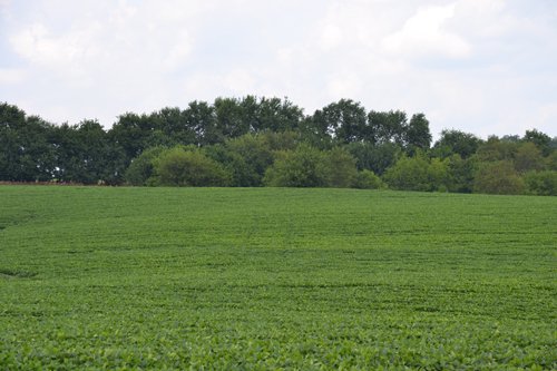 Property photo 2 - 2,054+/- Acres Offered in 28 Tracts