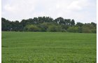 Property photo 2 - 2,054+/- Acres Offered in 28 Tracts