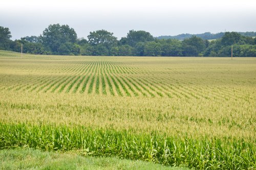Property photo 7 - 2,054+/- Acres Offered in 28 Tracts