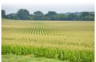Property photo 7 - 2,054+/- Acres Offered in 28 Tracts
