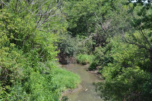 Property photo 1 - 2,054+/- Acres Offered in 28 Tracts