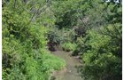 Property photo 1 - 2,054+/- Acres Offered in 28 Tracts