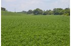 Property photo 3 - 2,054+/- Acres Offered in 28 Tracts