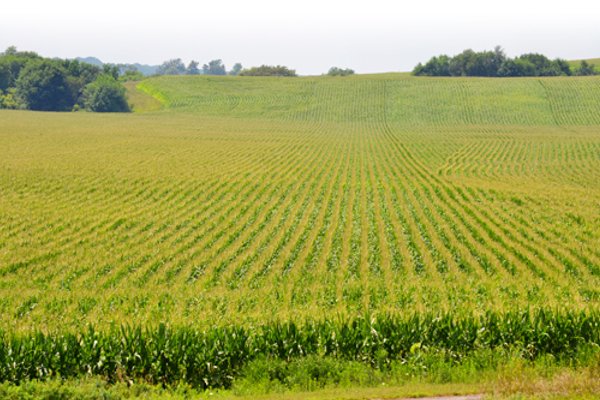 2,054+/- Acres Offered in 28 Tracts