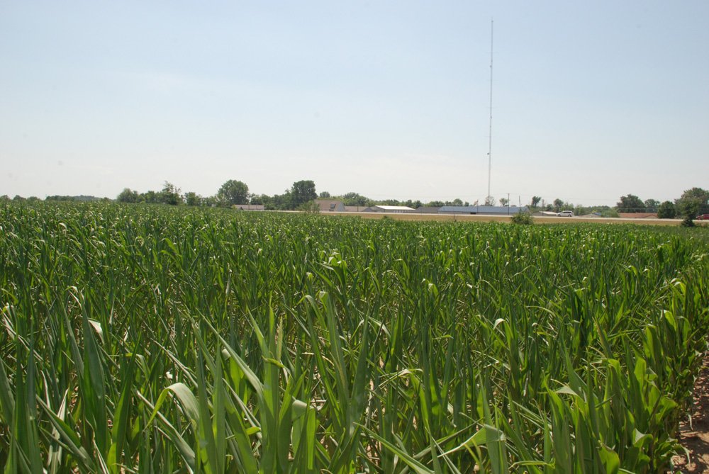 Property photo 4 - Land Auction - 62 Acres in 6 Tracts. Productive Tillable Land, Potential Commercial Sites, Investment Potential