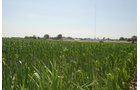 Property photo 4 - Land Auction - 62 Acres in 6 Tracts. Productive Tillable Land, Potential Commercial Sites, Investment Potential