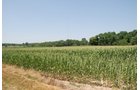 Property photo 5 - Land Auction - 62 Acres in 6 Tracts. Productive Tillable Land, Potential Commercial Sites, Investment Potential