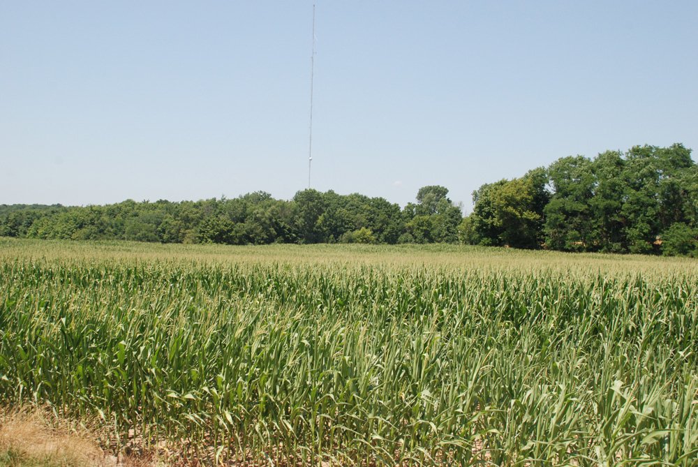 Property photo 6 - Land Auction - 62 Acres in 6 Tracts. Productive Tillable Land, Potential Commercial Sites, Investment Potential