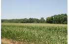 Property photo 6 - Land Auction - 62 Acres in 6 Tracts. Productive Tillable Land, Potential Commercial Sites, Investment Potential