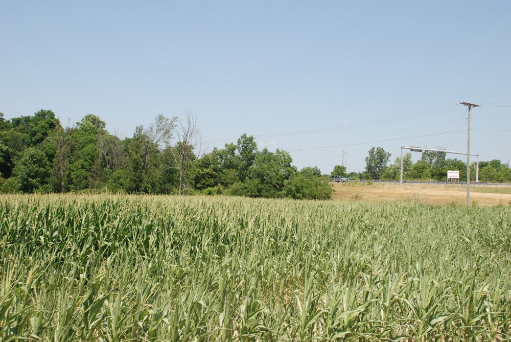 Property photo 7 - Land Auction - 62 Acres in 6 Tracts. Productive Tillable Land, Potential Commercial Sites, Investment Potential