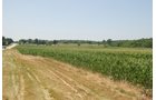 Property photo 8 - Land Auction - 62 Acres in 6 Tracts. Productive Tillable Land, Potential Commercial Sites, Investment Potential