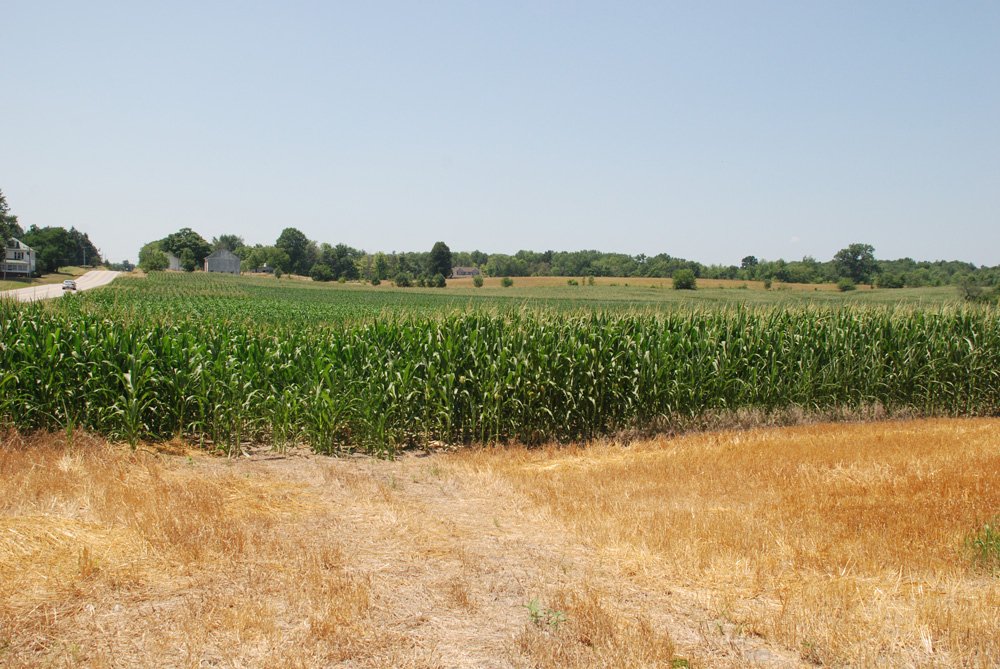 Property photo 9 - Land Auction - 62 Acres in 6 Tracts. Productive Tillable Land, Potential Commercial Sites, Investment Potential