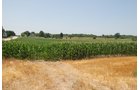 Property photo 9 - Land Auction - 62 Acres in 6 Tracts. Productive Tillable Land, Potential Commercial Sites, Investment Potential