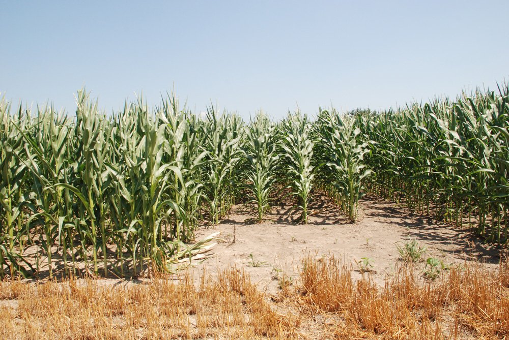 Property photo 20 - Land Auction - 62 Acres in 6 Tracts. Productive Tillable Land, Potential Commercial Sites, Investment Potential