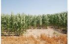 Property photo 20 - Land Auction - 62 Acres in 6 Tracts. Productive Tillable Land, Potential Commercial Sites, Investment Potential