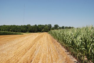 Van Gessel, Noble County