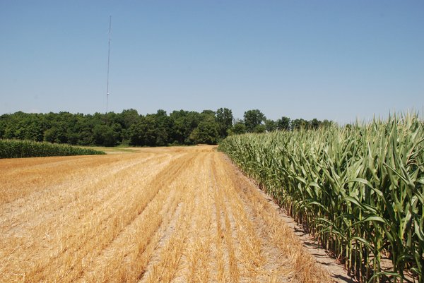 Land Auction - 62 Acres in 6 Tracts. Productive Tillable Land, Potential Commercial Sites, Investment Potential