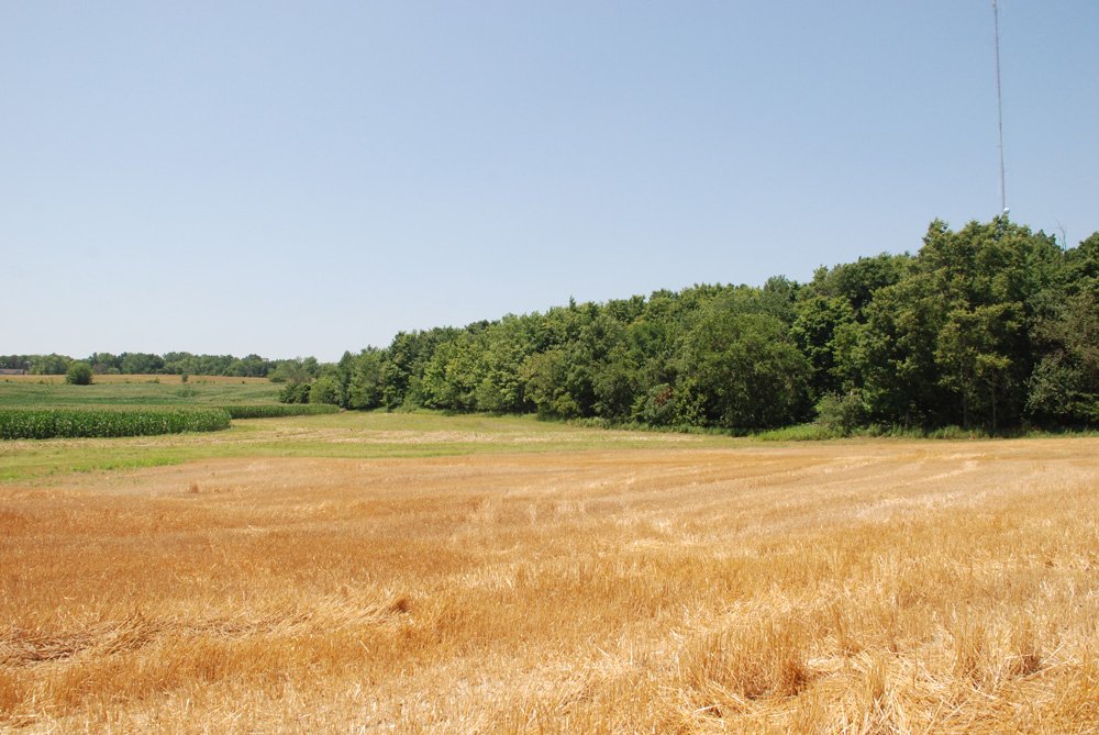 Property photo 1 - Land Auction - 62 Acres in 6 Tracts. Productive Tillable Land, Potential Commercial Sites, Investment Potential