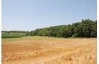 Property photo 1 - Land Auction - 62 Acres in 6 Tracts. Productive Tillable Land, Potential Commercial Sites, Investment Potential