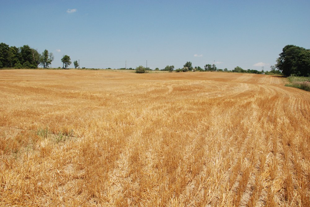 Property photo 2 - Land Auction - 62 Acres in 6 Tracts. Productive Tillable Land, Potential Commercial Sites, Investment Potential