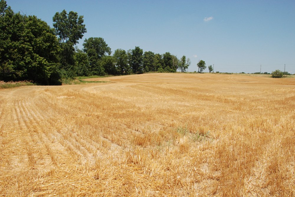 Property photo 15 - Land Auction - 62 Acres in 6 Tracts. Productive Tillable Land, Potential Commercial Sites, Investment Potential