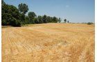 Property photo 15 - Land Auction - 62 Acres in 6 Tracts. Productive Tillable Land, Potential Commercial Sites, Investment Potential