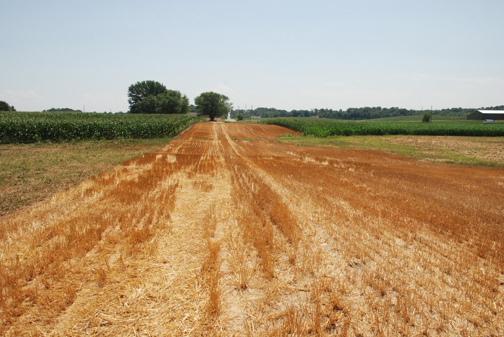 Property photo 14 - Land Auction - 62 Acres in 6 Tracts. Productive Tillable Land, Potential Commercial Sites, Investment Potential
