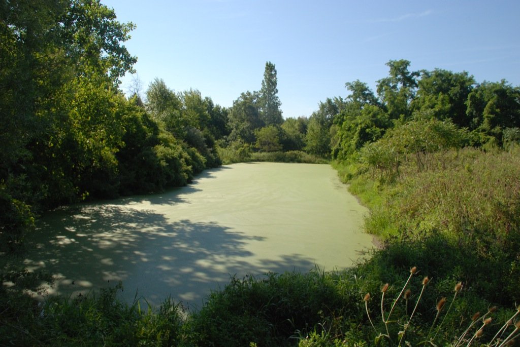Spring Fed Pond - Land Auction - 62 Acres in 6 Tracts. Productive Tillable Land, Potential Commercial Sites, Investment Potential