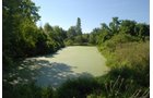 Spring Fed Pond - Land Auction - 62 Acres in 6 Tracts. Productive Tillable Land, Potential Commercial Sites, Investment Potential