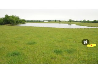 Property photo 5 - 640 Acres in 14 Tracts - Mostly Pasture/Ranch Land